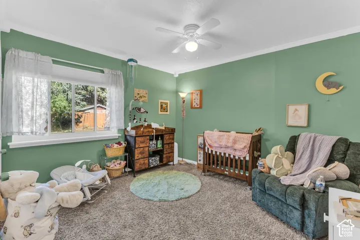 Room featuring a window, textured carpeting, crown molding, and a ceiling fan