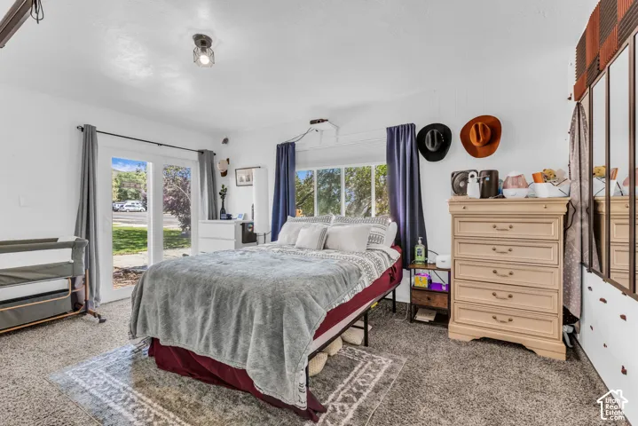 Plush carpet flooring, white walls, and a ceiling-mounted light fixture