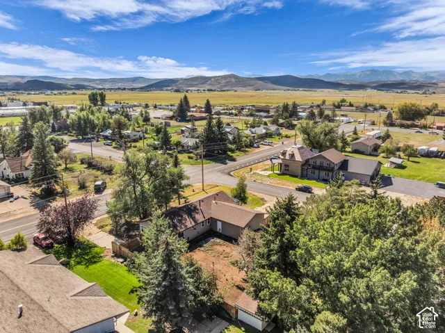 Aerial perspective showcasing residential properties amidst mature trees and a distant mountain range