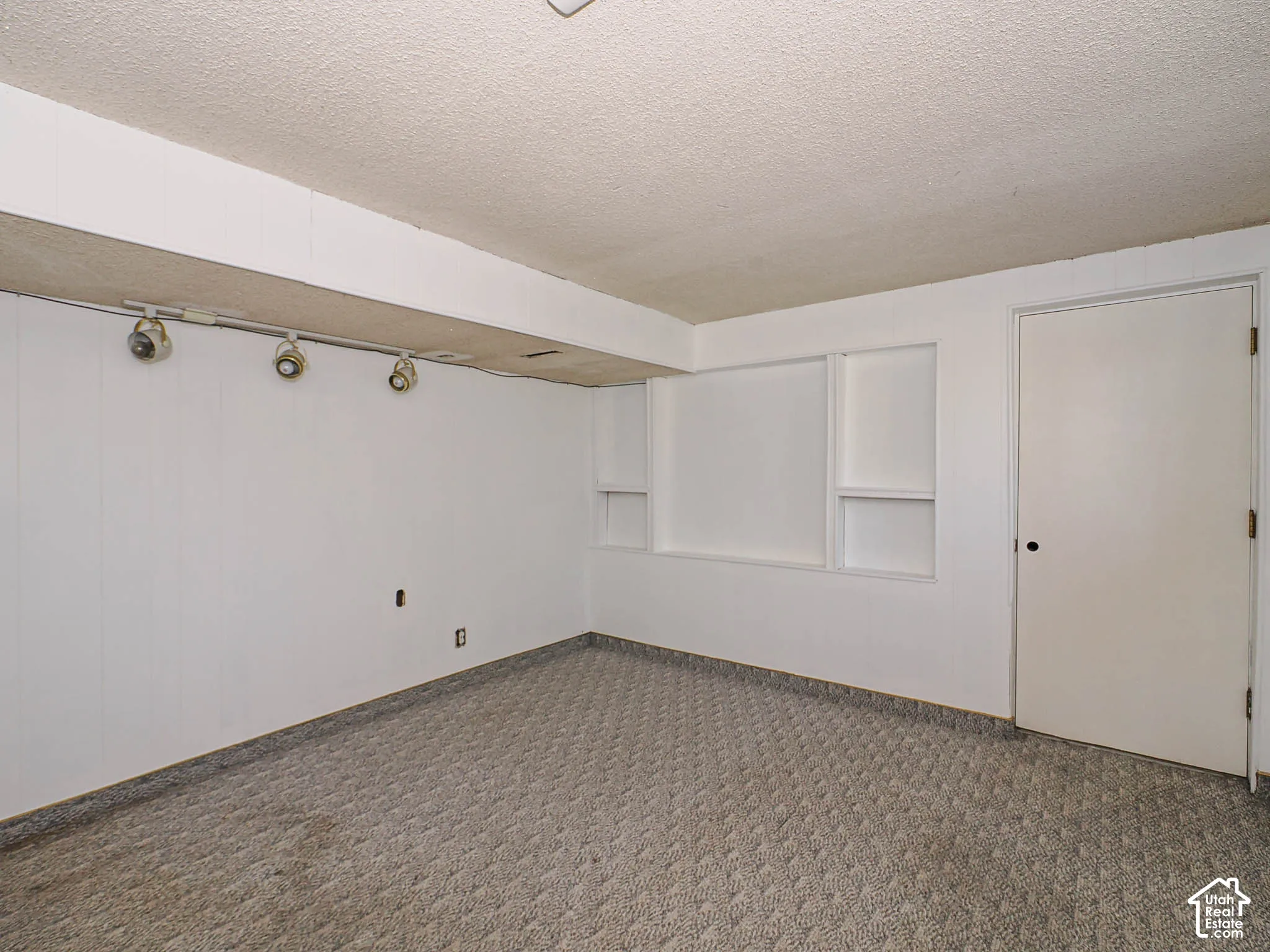 Built-in shelving units, track lighting, paneled wall finish, and a neutral carpeted floor