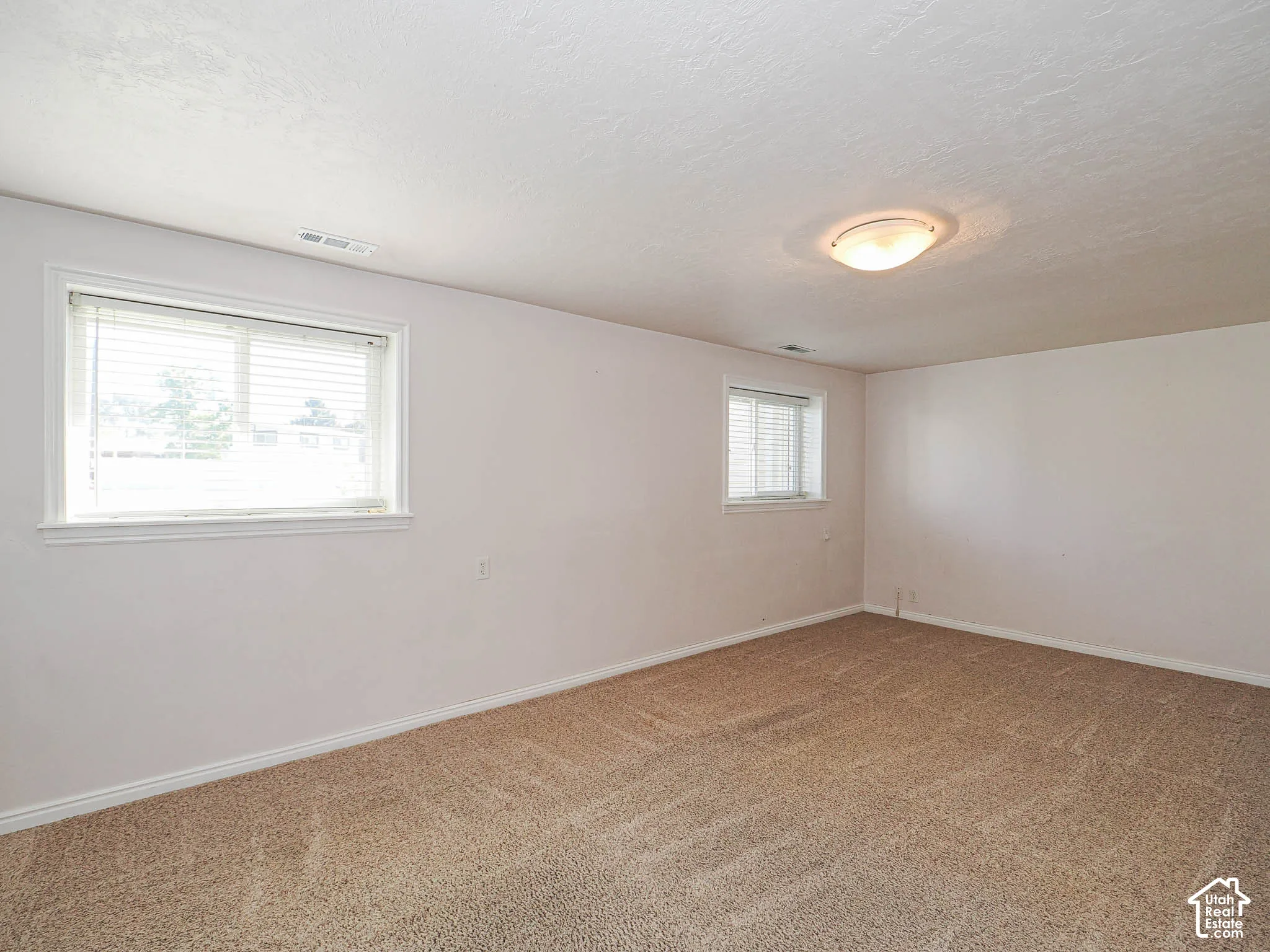 Carpeted room with white walls, two windows with blinds, white trim, and a flush-mount ceiling light