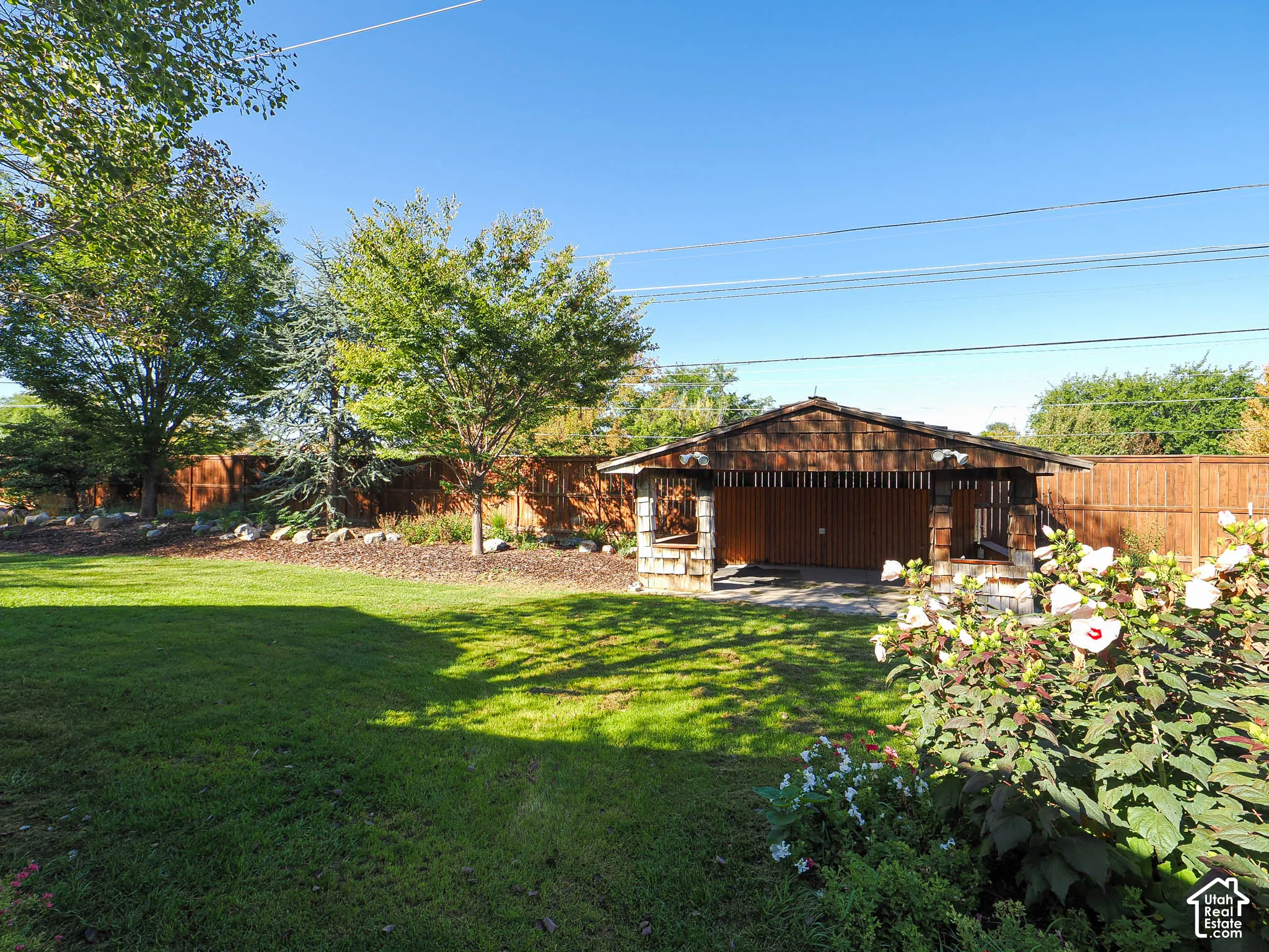 Expansive grassy yard with mature trees and a wood-slat privacy fence