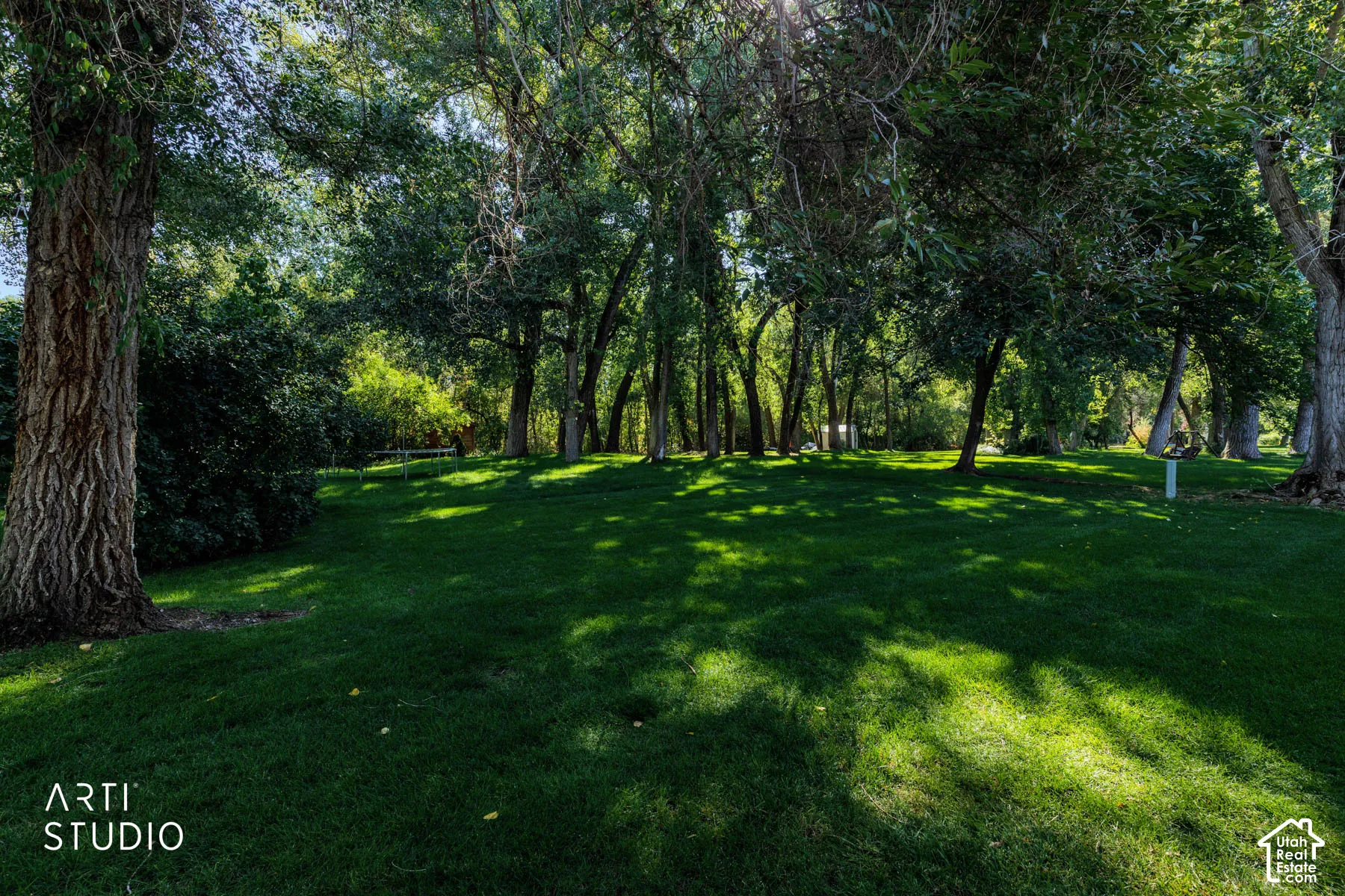 Expansive green lawn with mature trees and natural landscaping