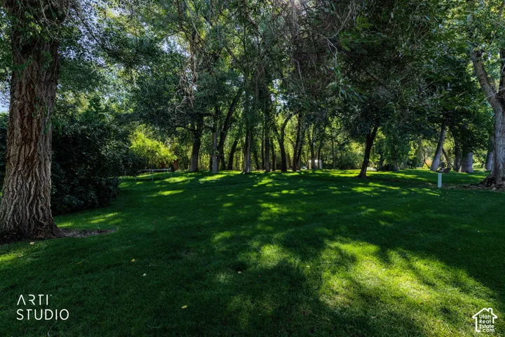 Expansive green lawn with mature trees and natural landscaping