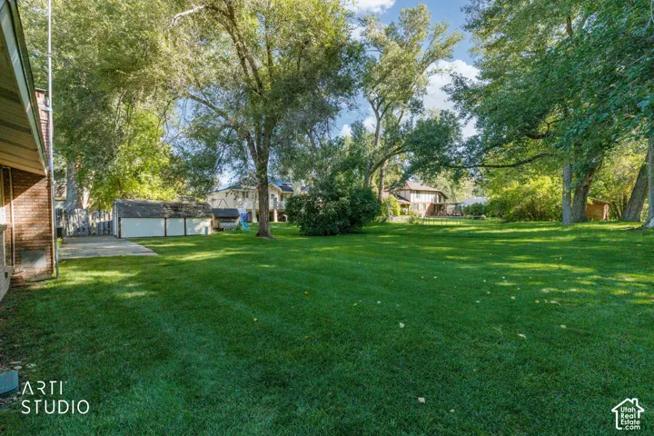 Expansive green lawn surrounded by mature trees, featuring a concrete patio and a detached garage with a white exterior