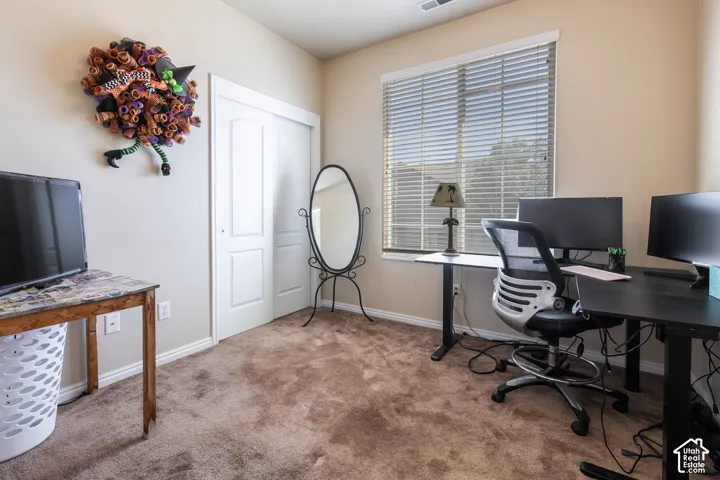 Neutral wall paint with textured carpeting