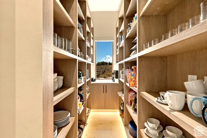 Walk-in pantry featuring extensive wood-finish shelving, an integrated countertop, built-in cabinetry, and a window