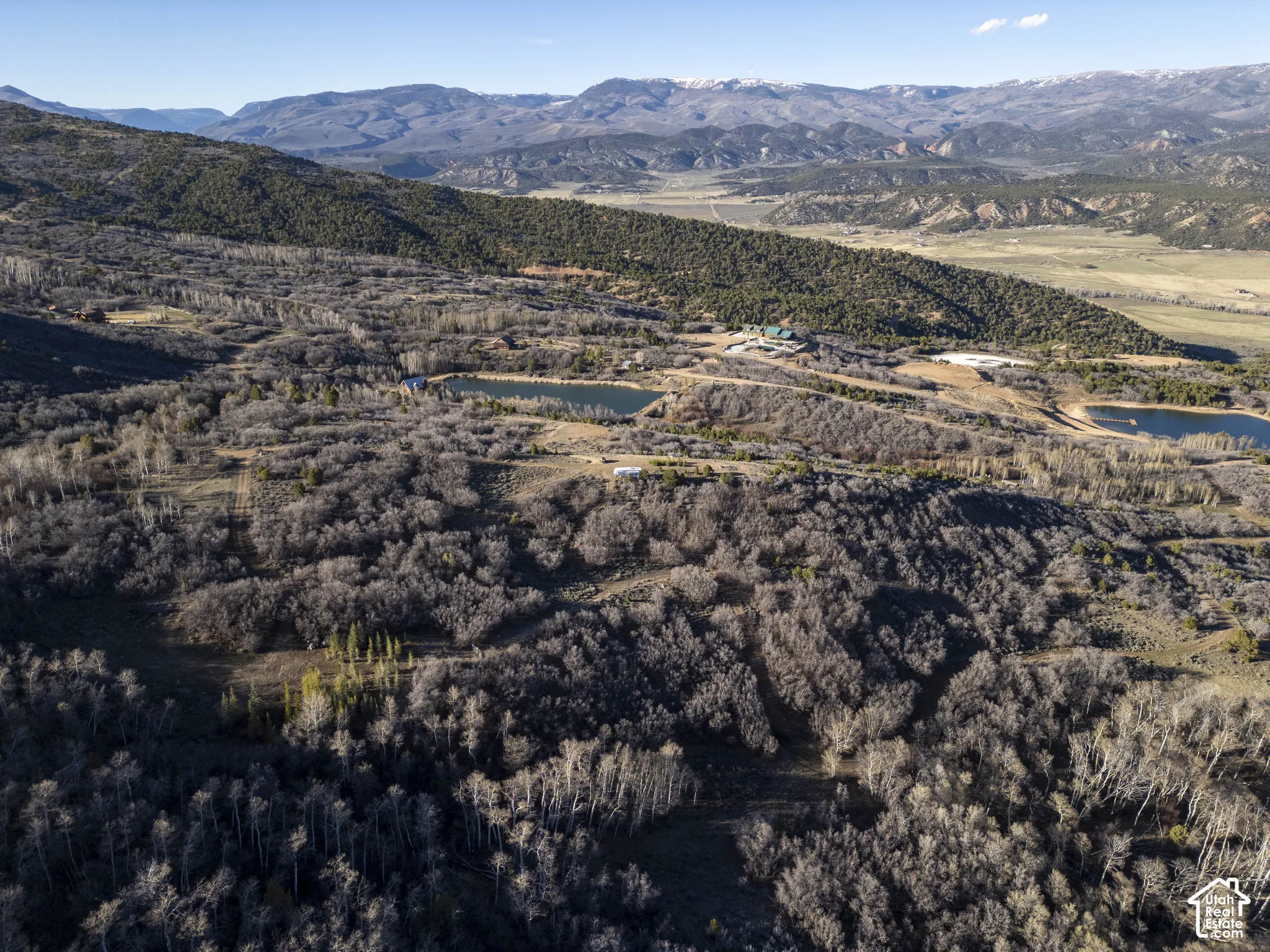 Expansive treed terrain with multiple bodies of water and distant mountainous scenery