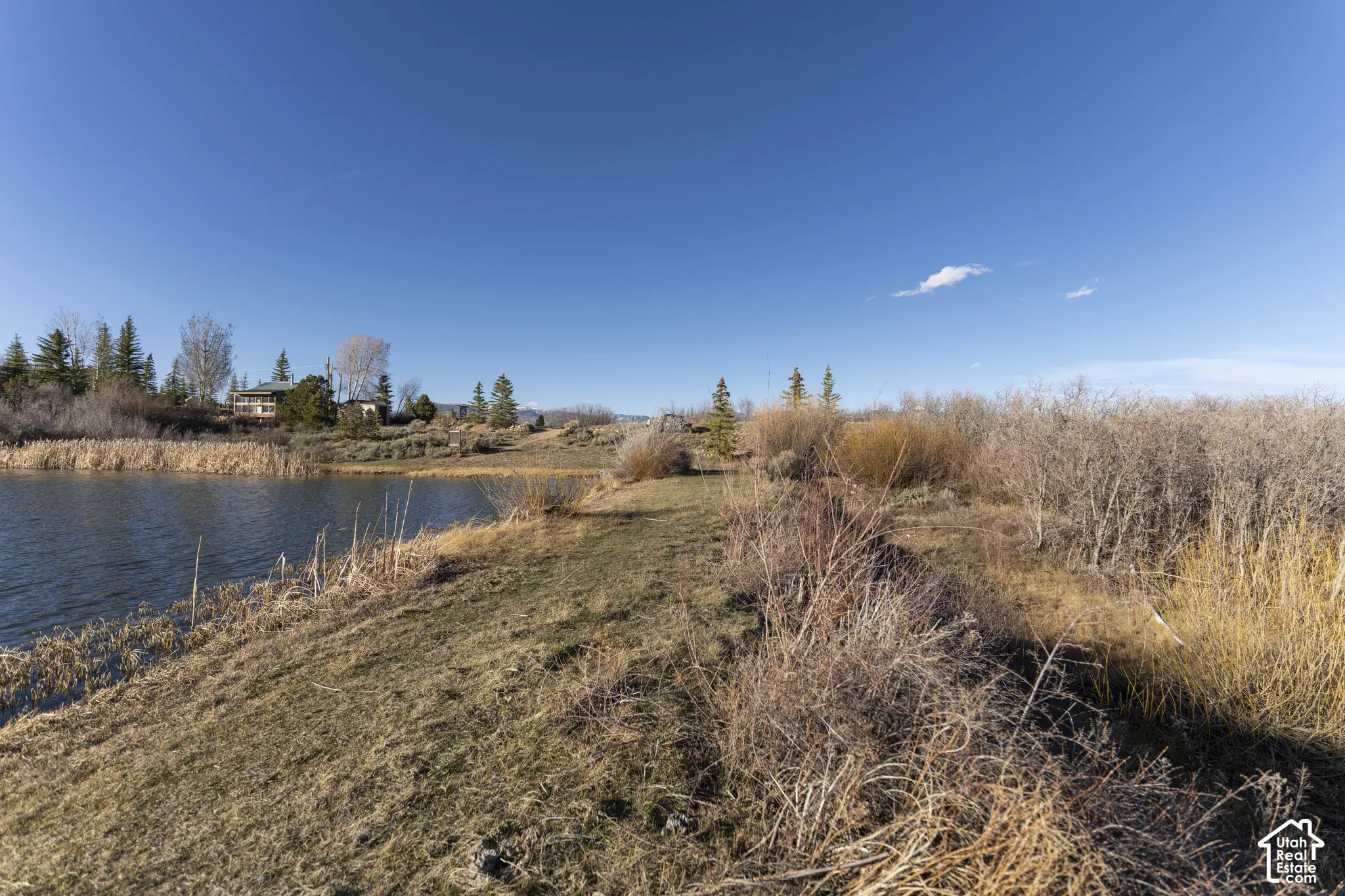 Waterfront property featuring a natural shoreline and surrounding vegetation