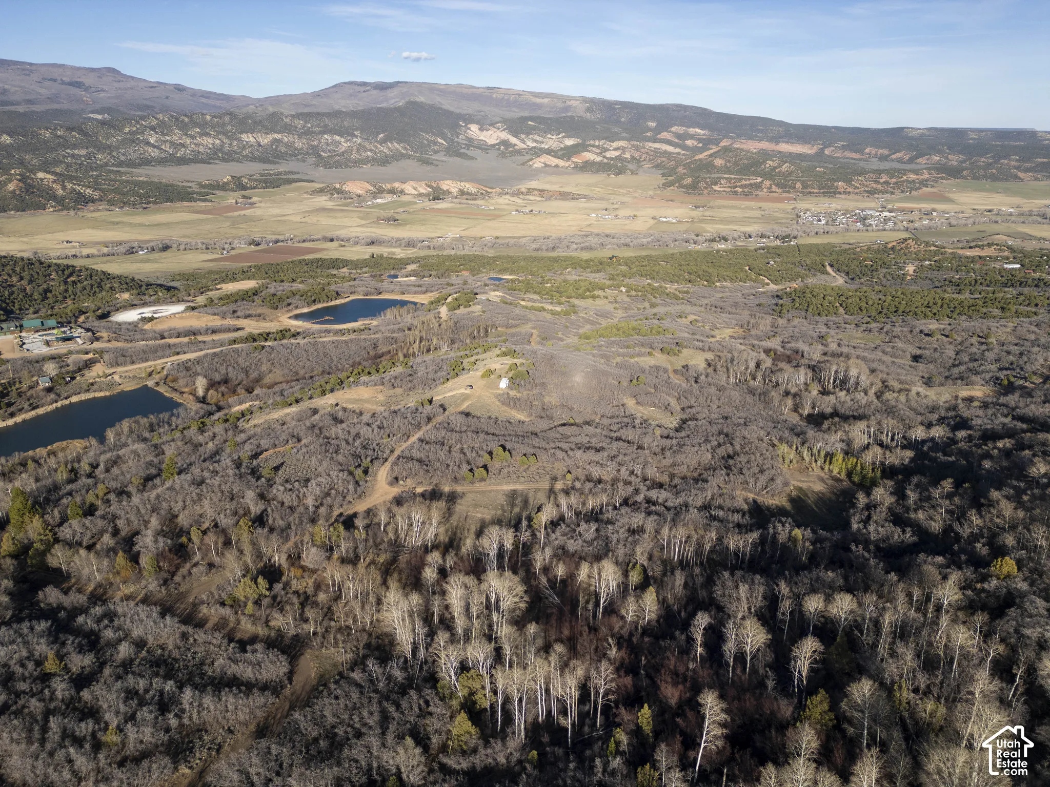 Expansive undeveloped terrain featuring diverse tree coverage, including deciduous and evergreen sections