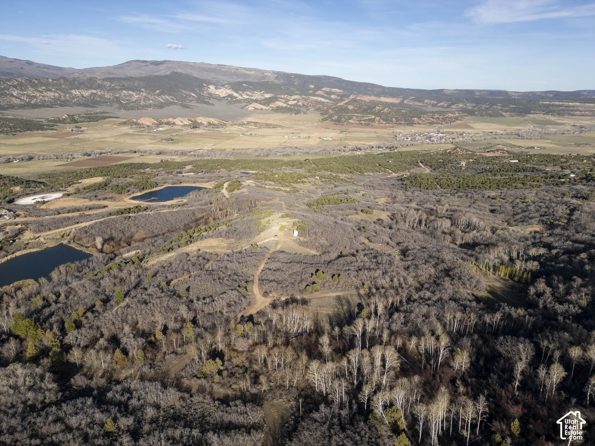 Expansive acreage featuring multiple bodies of water and varied tree cover