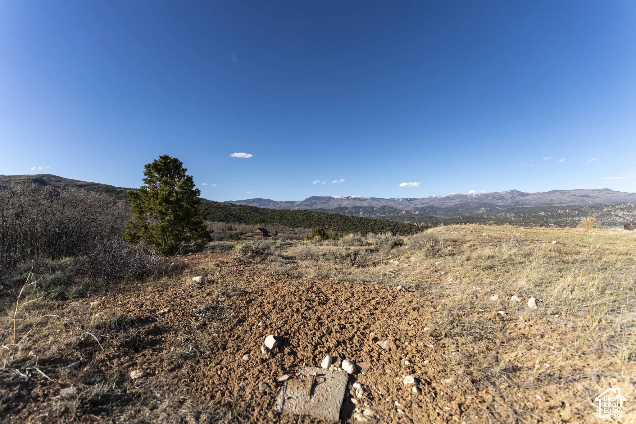 Expansive land featuring natural terrain with distant mountain ranges and scattered evergreen trees under a clear sky