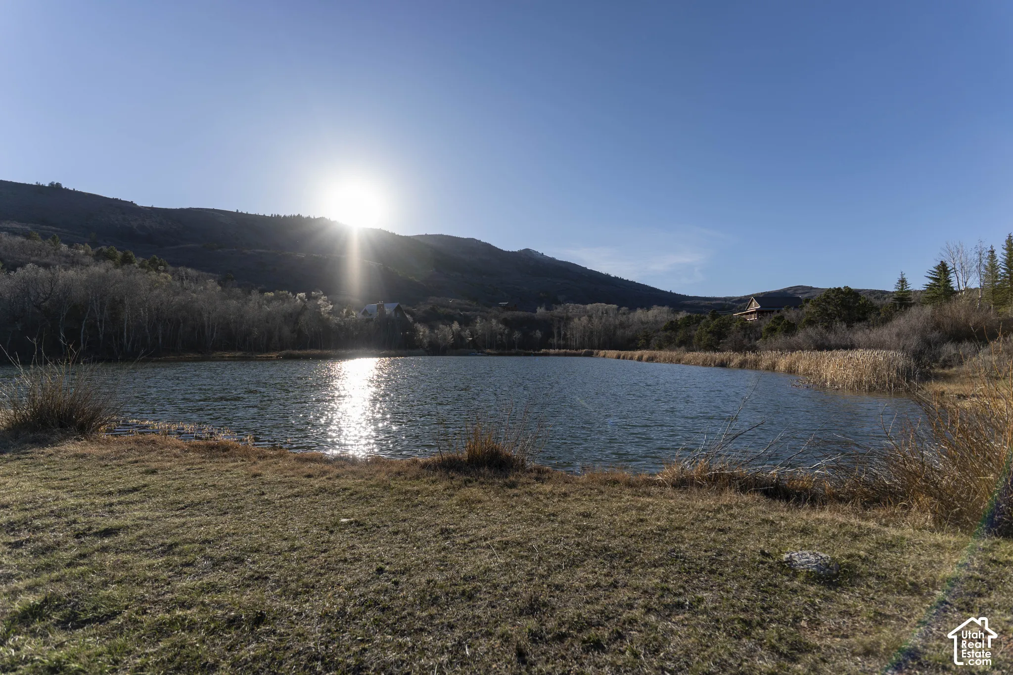 Expansive body of water with surrounding natural vegetation
