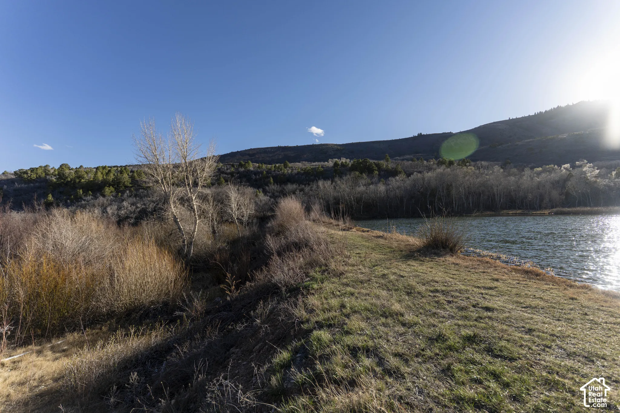 Waterfront property featuring natural vegetation and a distant tree line