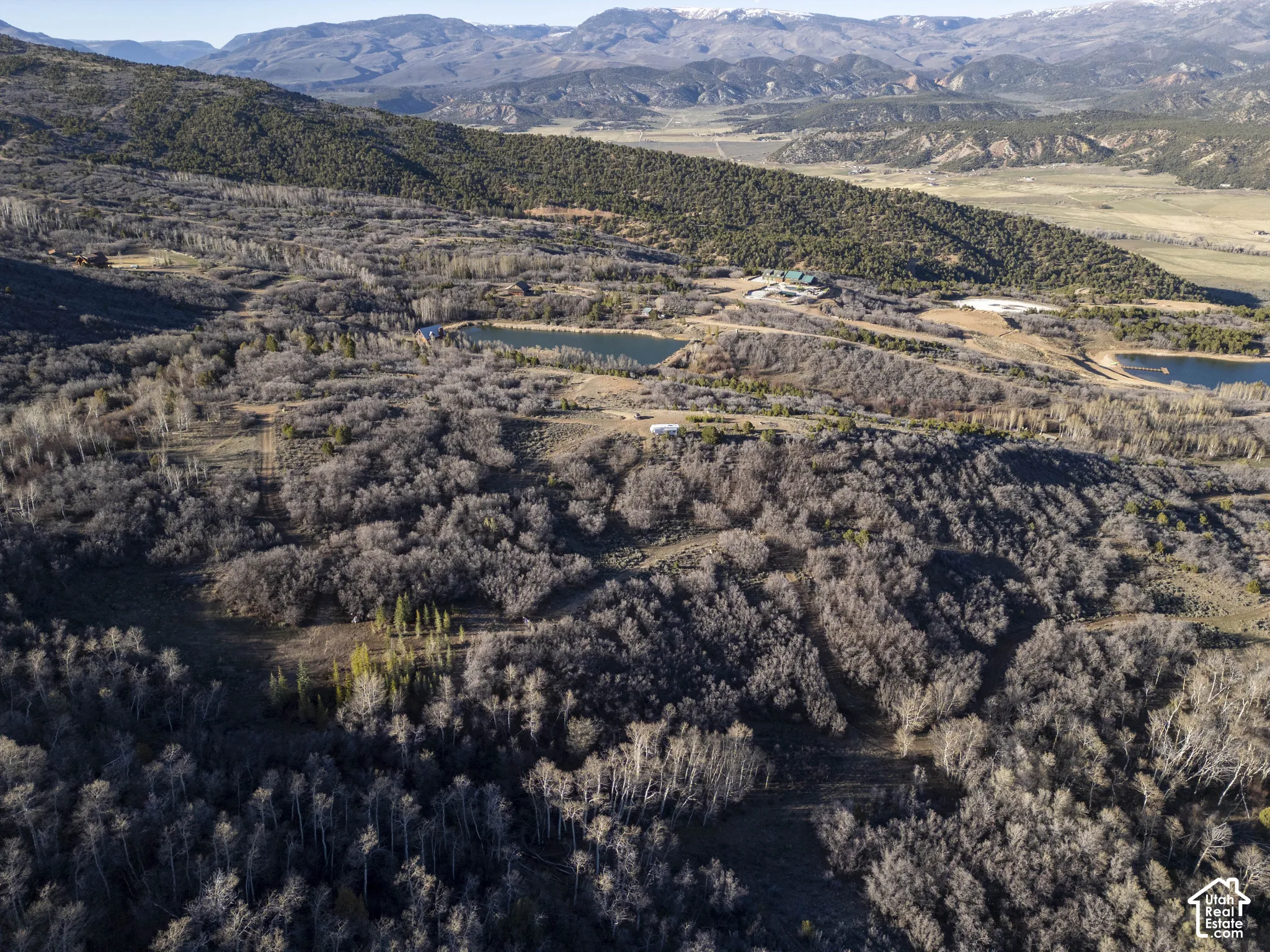 Expansive natural landscape featuring varied terrain, numerous deciduous trees, and distant mountain ranges