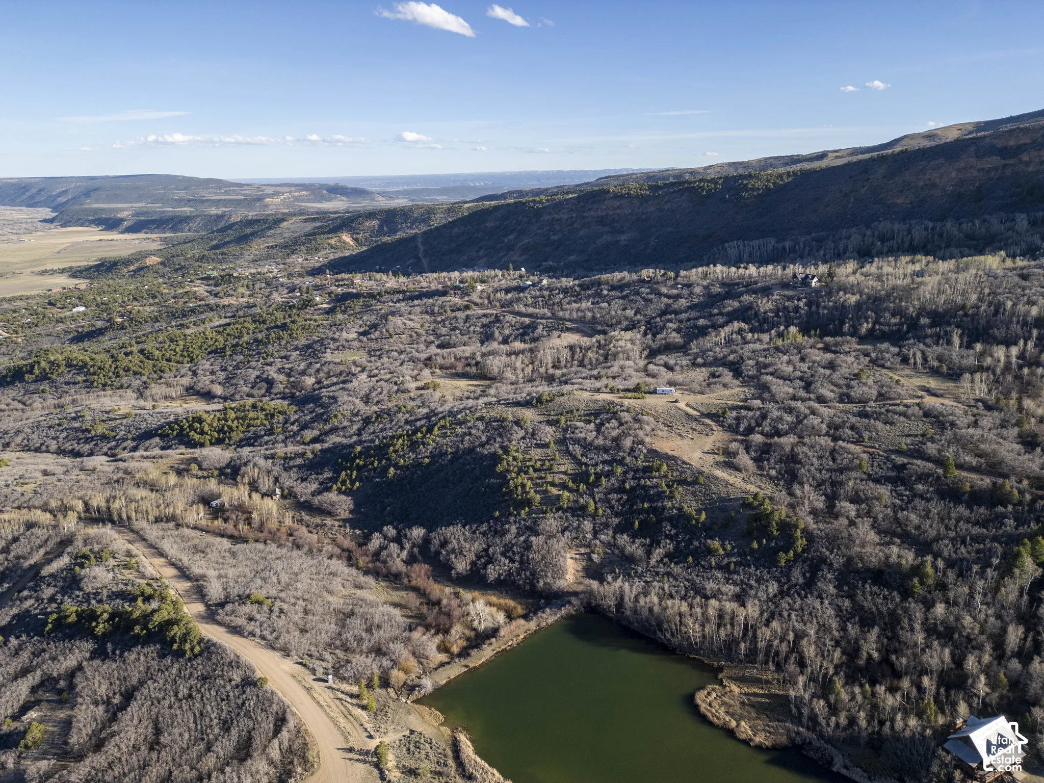 Expansive landscape featuring diverse tree coverage, distant mountain ranges, and a calm water body