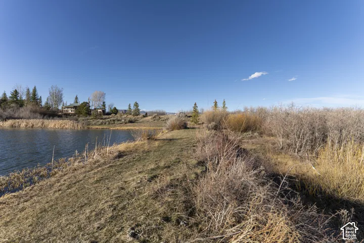 Waterfront property featuring a natural shoreline and surrounding vegetation