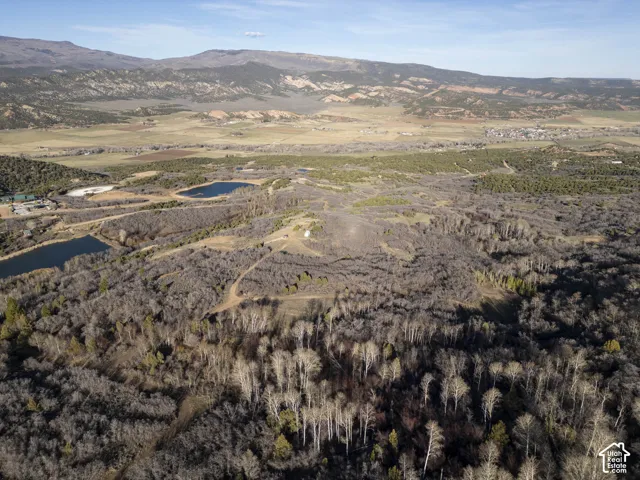 Expansive undeveloped terrain featuring diverse tree coverage, including deciduous and evergreen sections