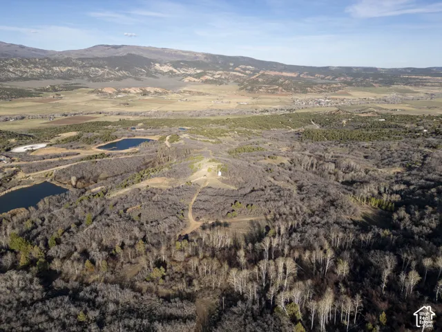 Expansive acreage featuring multiple bodies of water and varied tree cover