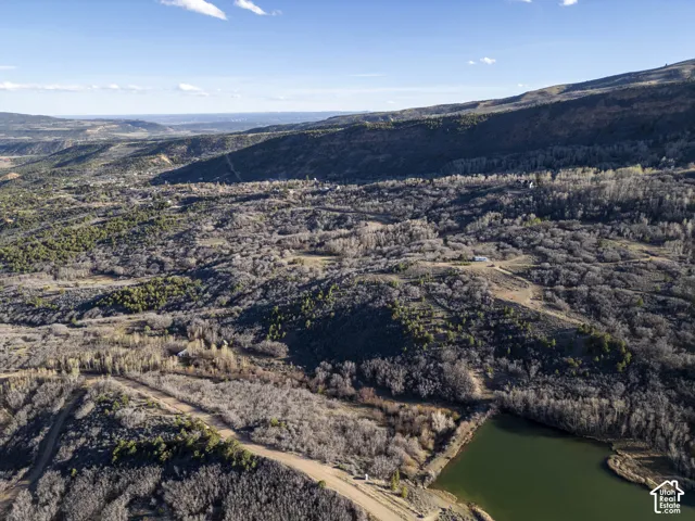 Expansive property featuring varied terrain, a natural water body, and abundant mature trees