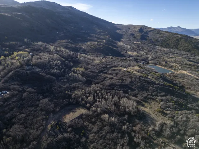 Expansive mountainous terrain featuring a prominent body of water, a winding unpaved road, and diverse tree coverage