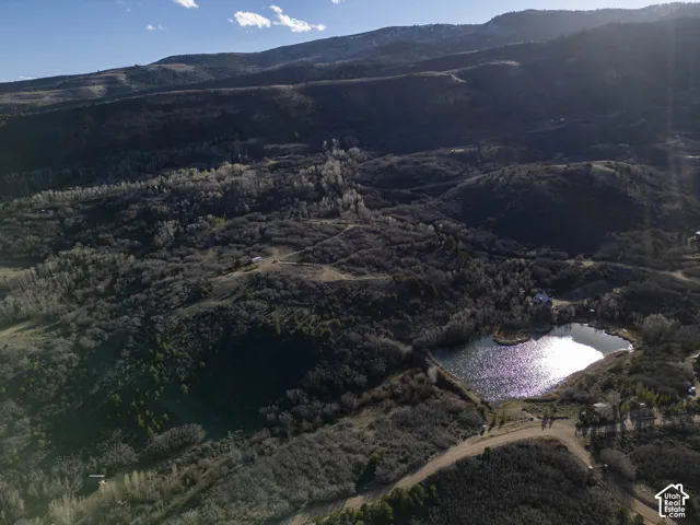 Expansive natural landscape featuring rolling hills and abundant trees