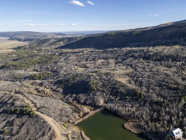Expansive landscape featuring diverse tree coverage, distant mountain ranges, and a calm water body