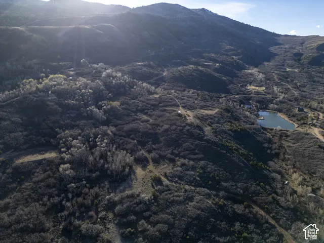 Expansive mountain landscape featuring varied terrain, numerous trees, and a visible body of water