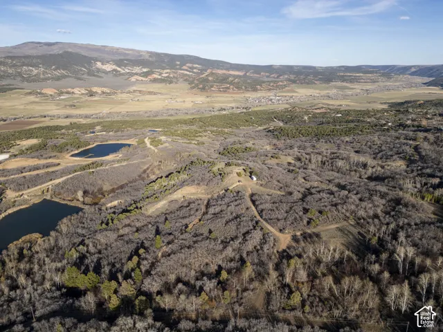 Expansive property featuring dense deciduous and evergreen tree cover, multiple bodies of water, and distant mountain ranges