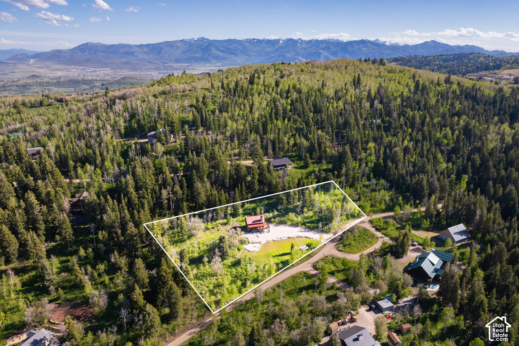 Mountainous terrain and extensive forest cover