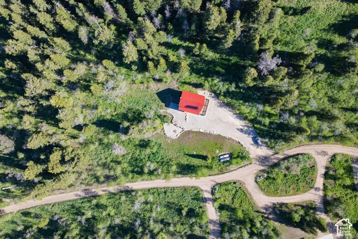 Wooded lot featuring a red-roofed structure, gravel drive, and natural landscaping