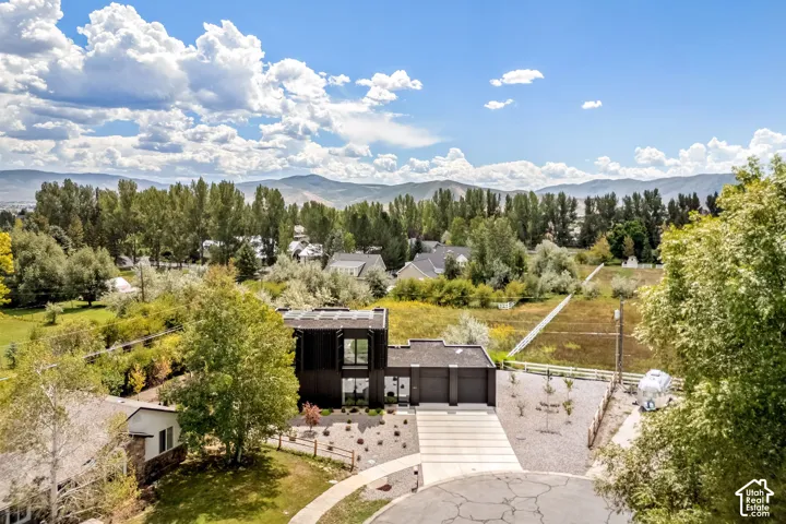 Modern architectural design with a dark facade, integrated two-car garage, and a concrete driveway
