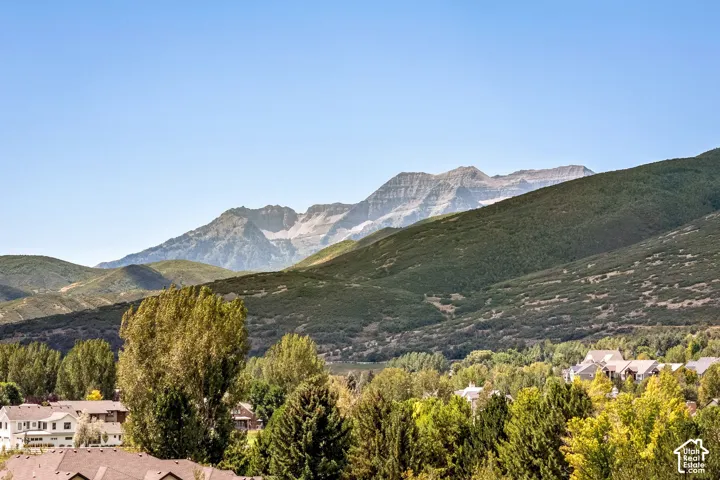Mountain landscape backdrop with a tree-lined residential area