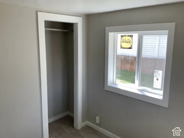 White window trim, light gray painted walls, window with white sashes, closet with hanging rod, and textured carpeting