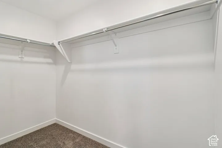 Walk-in closet featuring white painted walls, white built-in shelving, chrome hanging rods, and carpeting