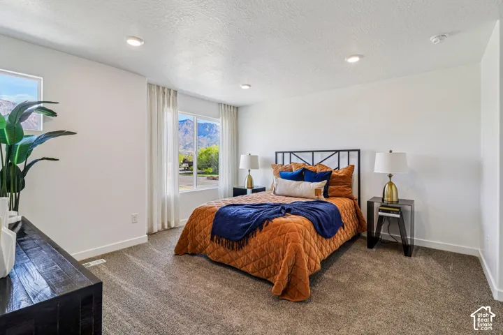 Wall-to-wall carpeting, recessed ceiling lighting, and large windows with integrated window treatments