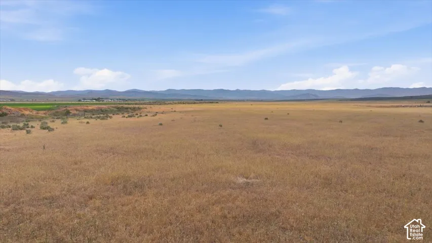 Expansive undeveloped land with a distant mountain range backdrop