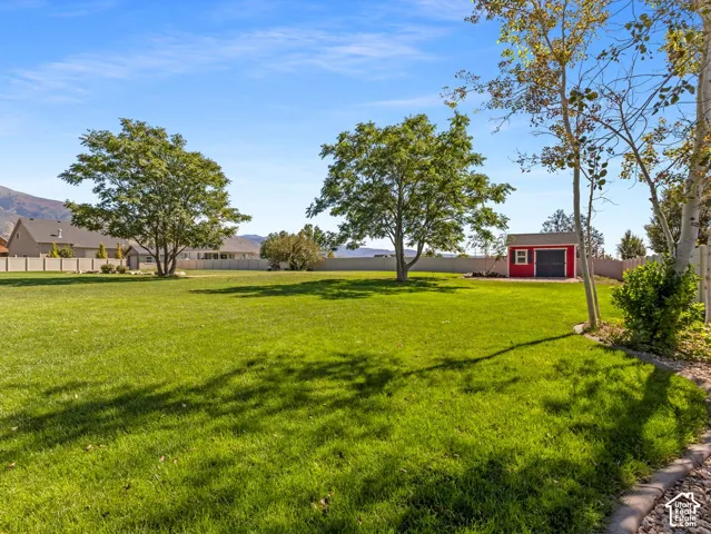 Expansive green lawn with mature trees and a red storage shed