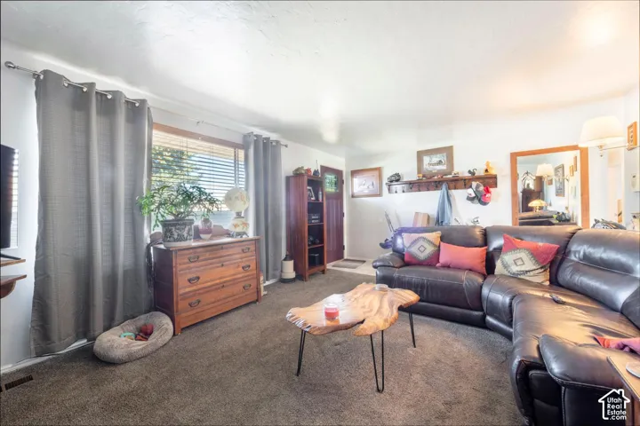 Carpet flooring, multiple windows with blinds, built-in shelving, wood-finish door, and wall-mounted shelving