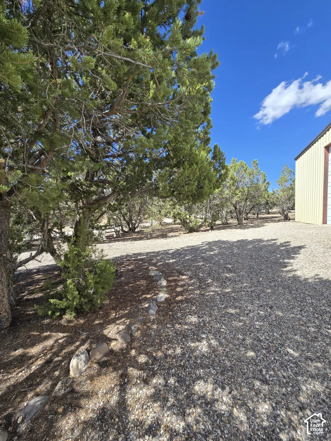 Gravel surfacing with natural tree coverage and a partially visible outbuilding
