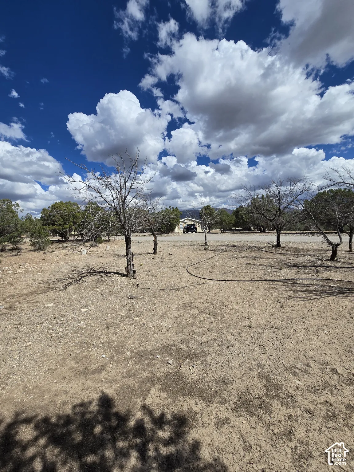 Expansive property with natural desert landscaping and scattered trees, featuring a distant single-story structure with an attached carport