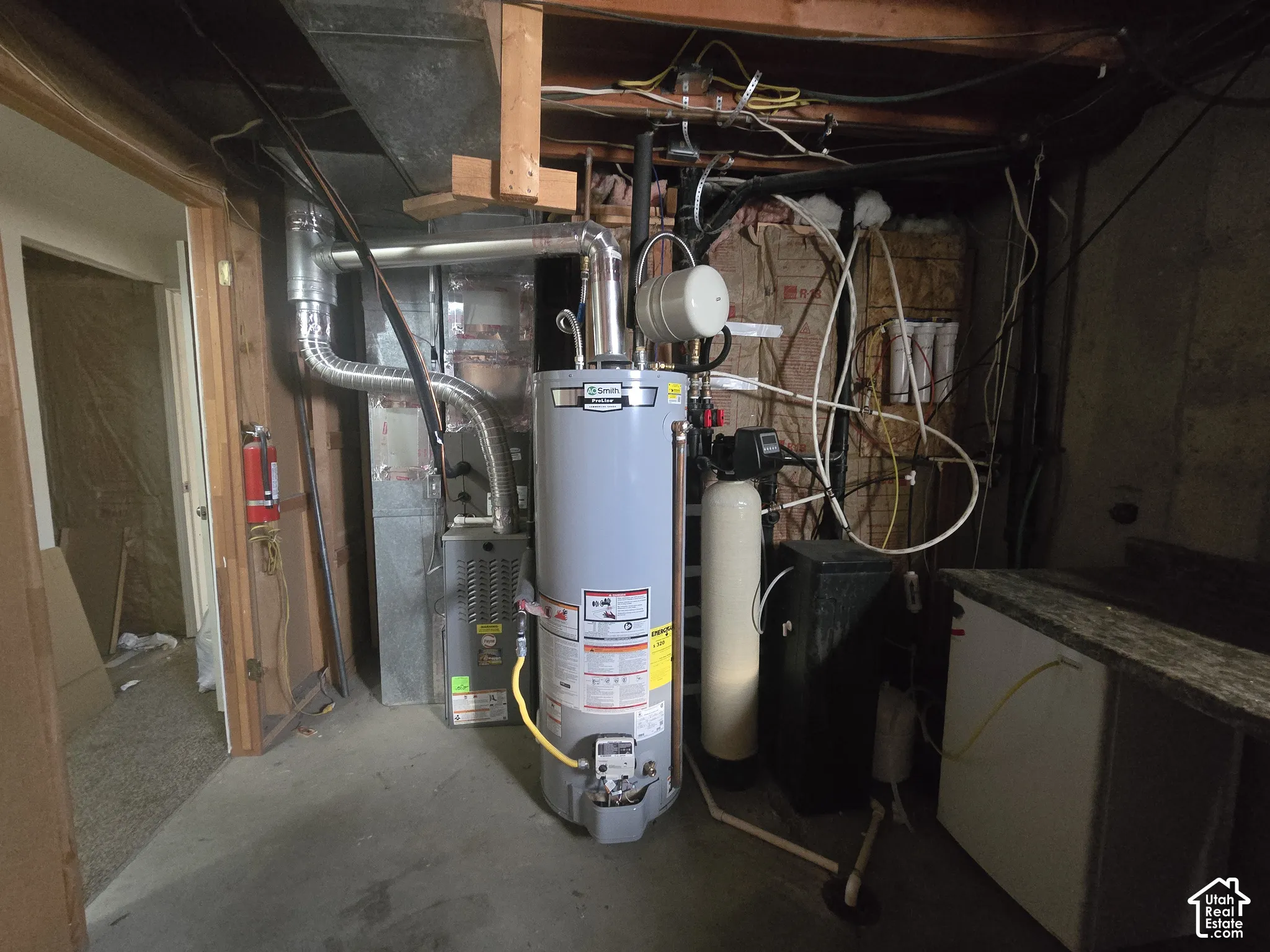 Water heater, furnace, and water filtration system
