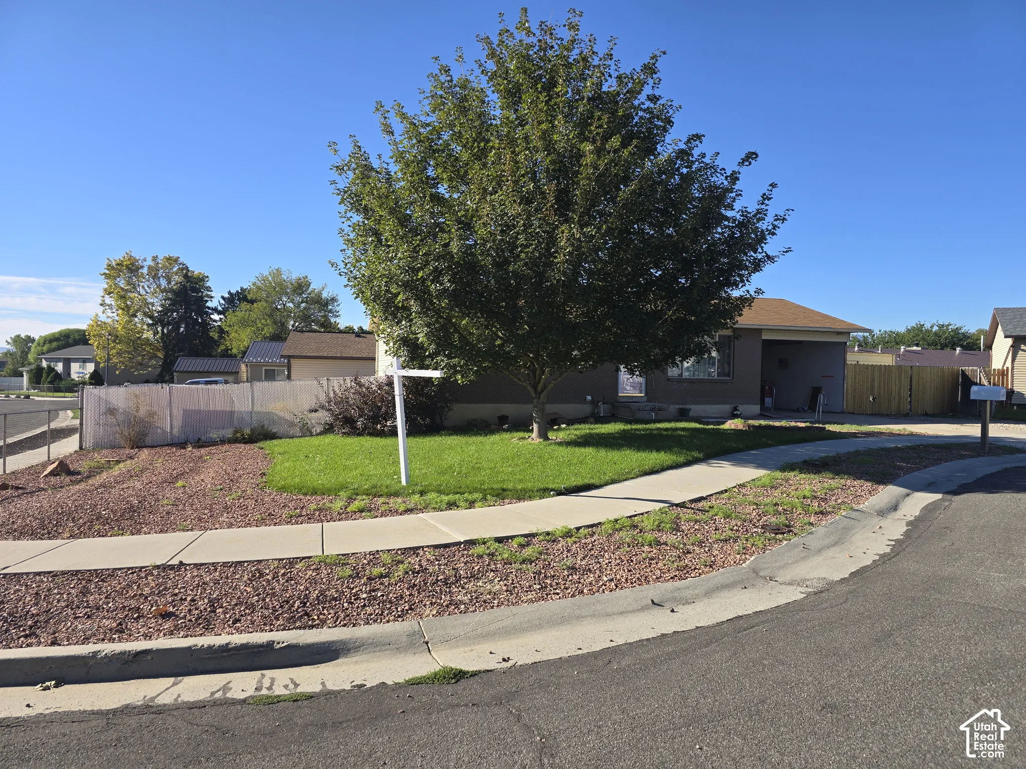 Front yard with established tree, concrete sidewalk, and a combination of manicured lawn and decorative gravel landscaping