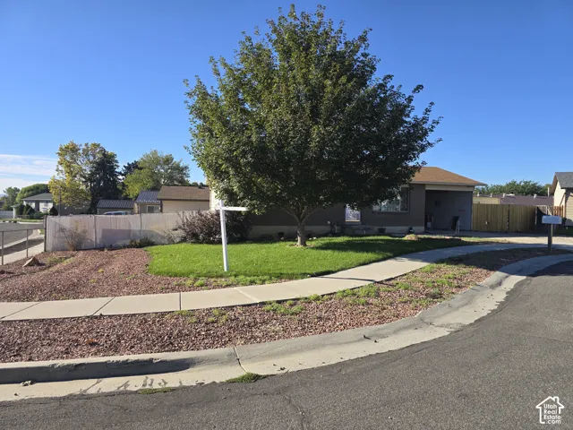 Front yard with established tree, concrete sidewalk, and a combination of manicured lawn and decorative gravel landscaping