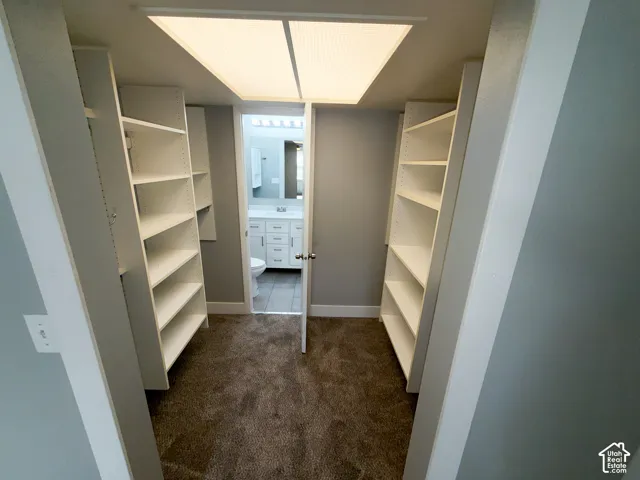 Built-in shelving, recessed ceiling light, carpet flooring, and a door leading to a separate room with a vanity