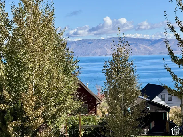 Expansive water body with distant mountains under a blue sky, framed by mature deciduous trees