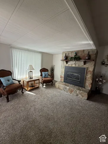 Stone-clad fireplace with hearth, wall-to-wall carpeting, and vertical window blinds