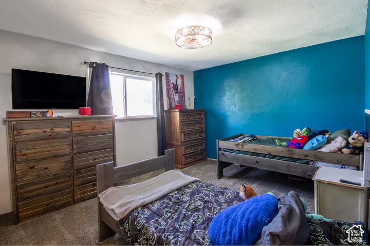 Carpeted flooring, painted walls, and overhead lighting