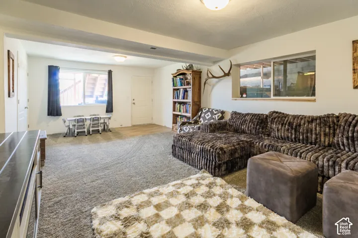Carpeted living area with overhead lighting, a built-in bookshelf, and two windows
