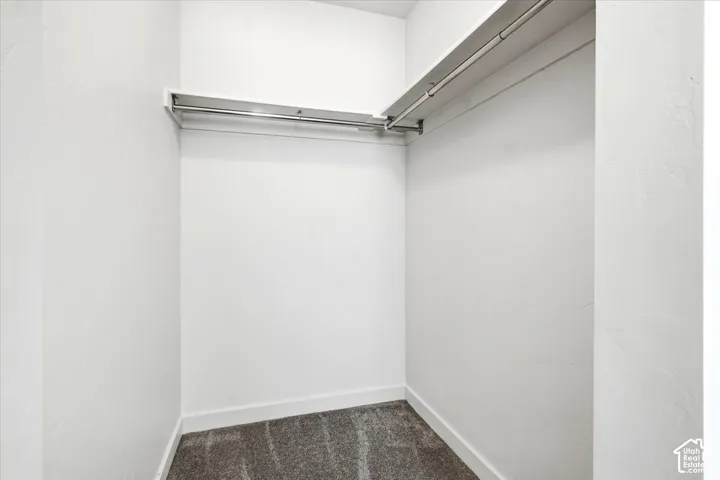 Walk-in closet with chrome hanging rods and carpet flooring